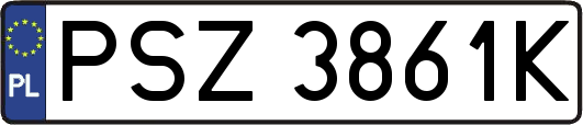 PSZ3861K