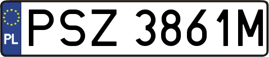 PSZ3861M