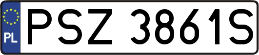 PSZ3861S