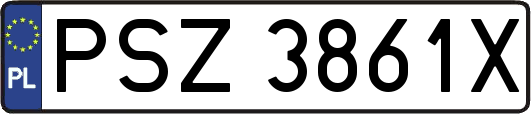 PSZ3861X