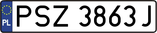 PSZ3863J
