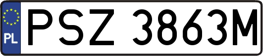 PSZ3863M