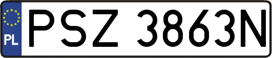PSZ3863N
