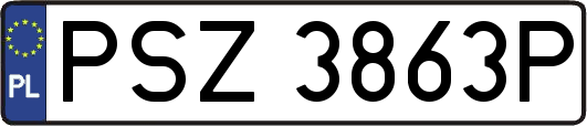 PSZ3863P