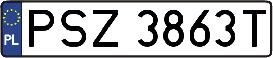 PSZ3863T