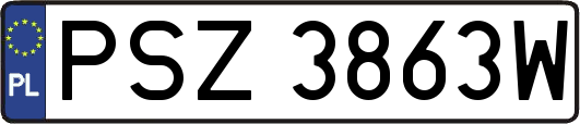 PSZ3863W