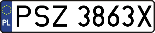 PSZ3863X