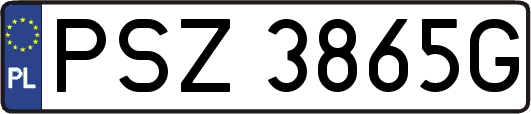 PSZ3865G