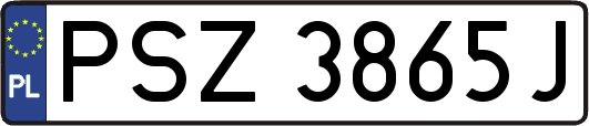 PSZ3865J