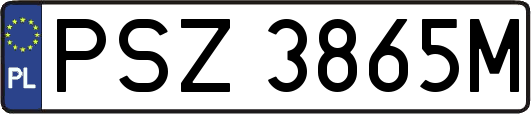 PSZ3865M