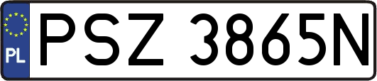 PSZ3865N