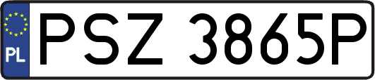PSZ3865P