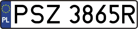 PSZ3865R