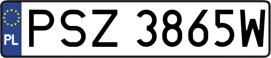 PSZ3865W