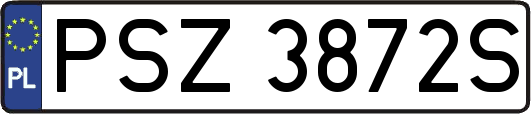 PSZ3872S