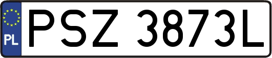 PSZ3873L
