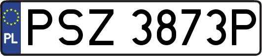 PSZ3873P