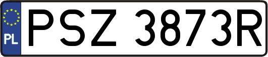 PSZ3873R
