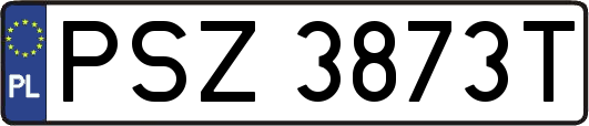 PSZ3873T
