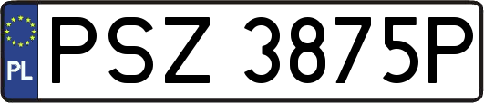 PSZ3875P