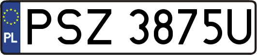 PSZ3875U