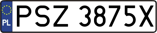 PSZ3875X