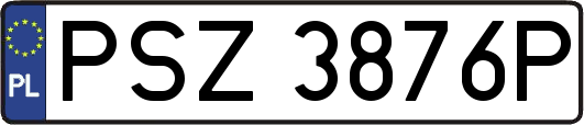 PSZ3876P