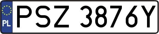 PSZ3876Y