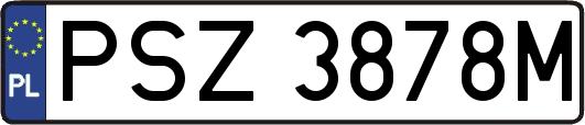 PSZ3878M