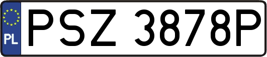 PSZ3878P