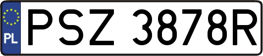 PSZ3878R