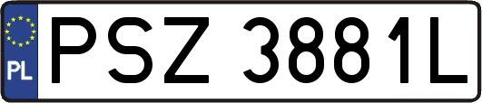 PSZ3881L