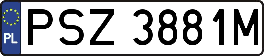 PSZ3881M