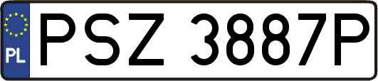 PSZ3887P