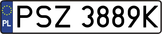 PSZ3889K