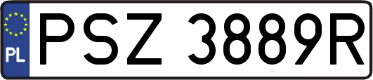 PSZ3889R