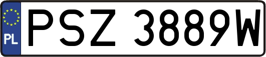 PSZ3889W