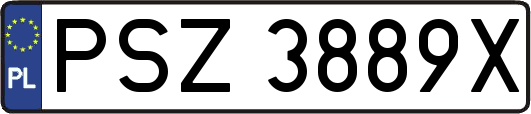 PSZ3889X