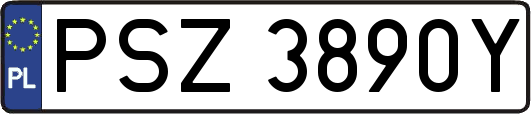 PSZ3890Y