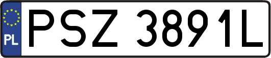 PSZ3891L