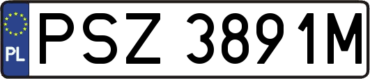 PSZ3891M