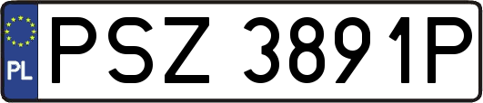PSZ3891P