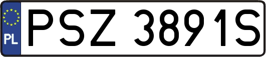 PSZ3891S