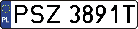 PSZ3891T