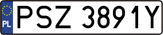 PSZ3891Y