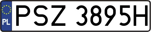 PSZ3895H