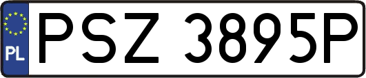 PSZ3895P
