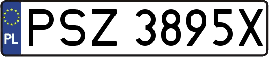 PSZ3895X