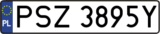 PSZ3895Y