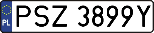 PSZ3899Y